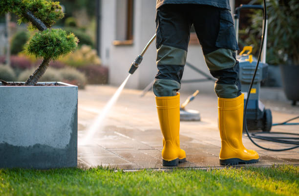 Best Roof Power Washing Services  in Jean Fitte, LA